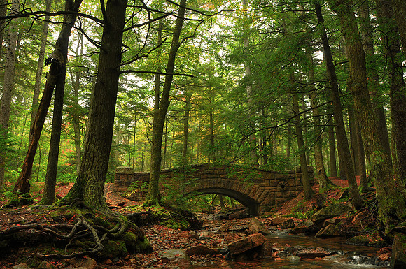 Acadia National Park