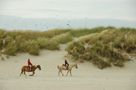 Cannon Beach, Oregon