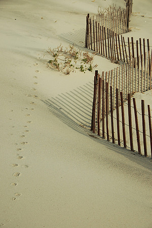 Long Island, New York
