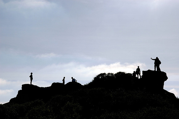 Torrey Pines State Reserve, EEUU
