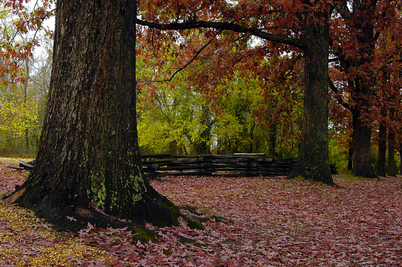 Williamsburg, VA