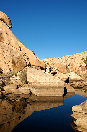 Joshua Tree National Park, EEUU