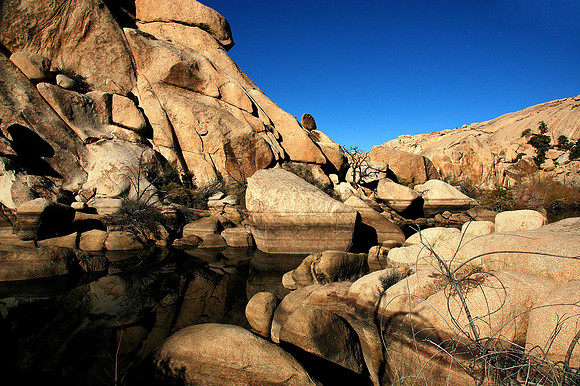 Joshua Tree National Park, EEUU