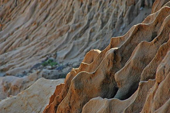 Torrey Pines State Reserve, EEUU
