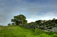 Near
Utstein Monastery