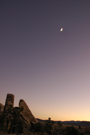 Joshua Tree National Park, EEUU