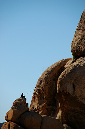 Joshua Tree National Park, EEUU