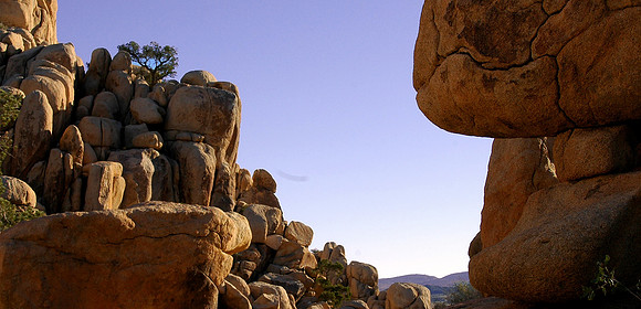 Joshua Tree National Park, EEUU
