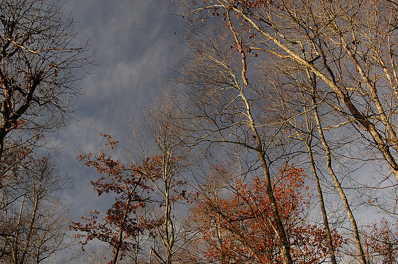 Inman Park, Atlanta
