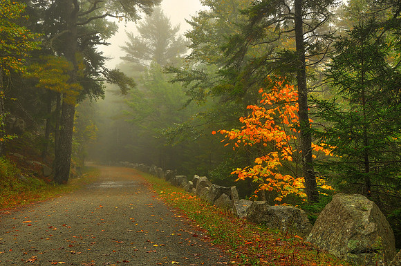 Acadia National Park
