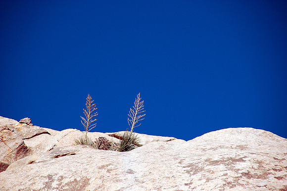 Joshua Tree National Park, EEUU