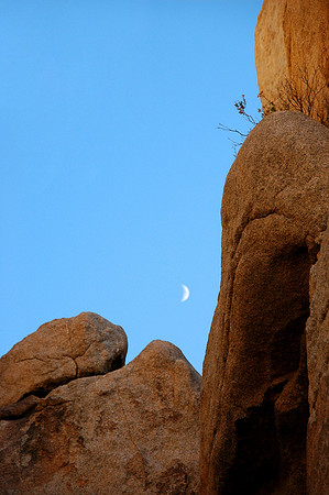 Joshua Tree National Park, EEUU