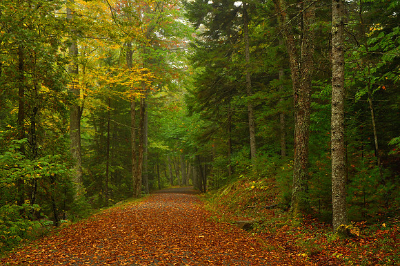 Acadia National Park