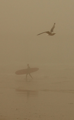 Ocean Beach, San Diego, 2007