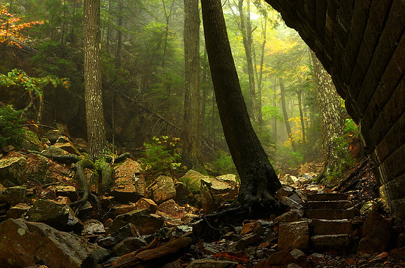 Acadia National Park