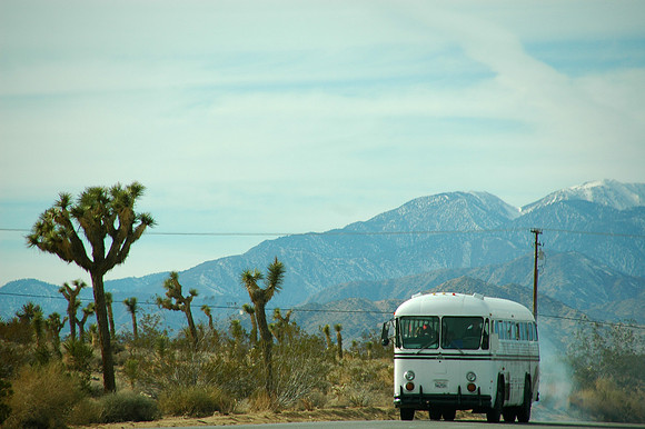 Joshua Tree National Park, EEUU
