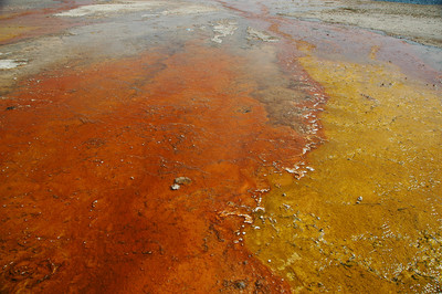 Yellowstone National Park, Wyoming