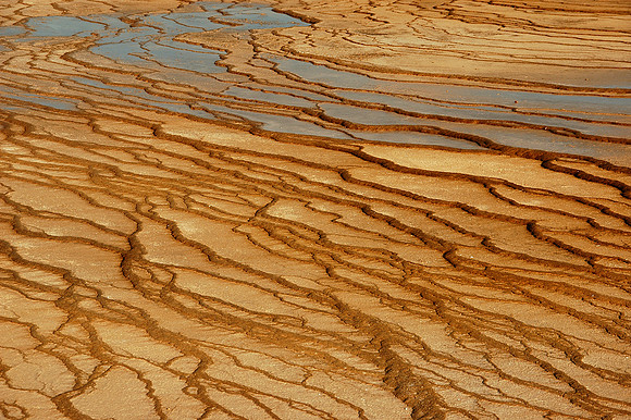 Yellowstone National Park, Wyoming