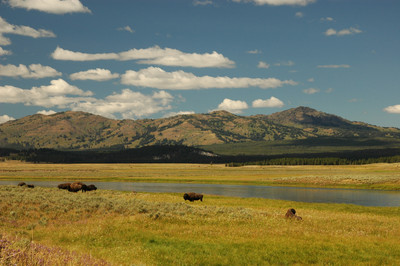 Yellowstone National Park, Wyoming