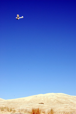 Oeste (West) EEUU