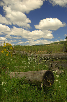 Yellowstone National Park, Wyoming
